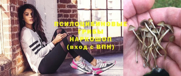 герыч Касимов