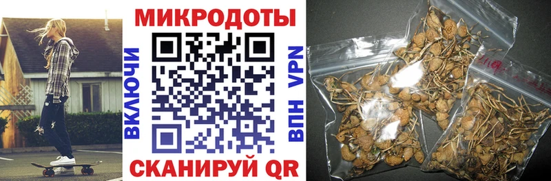 Псилоцибиновые грибы GOLDEN TEACHER  Купить закладки  Закаменск 